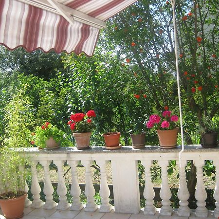 Apartments Grzunov Zadar Rom bilde