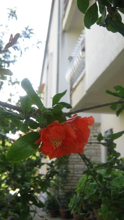 Apartments Grzunov Zadar Rom bilde